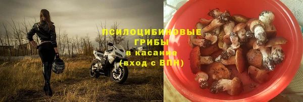 таблы Алзамай