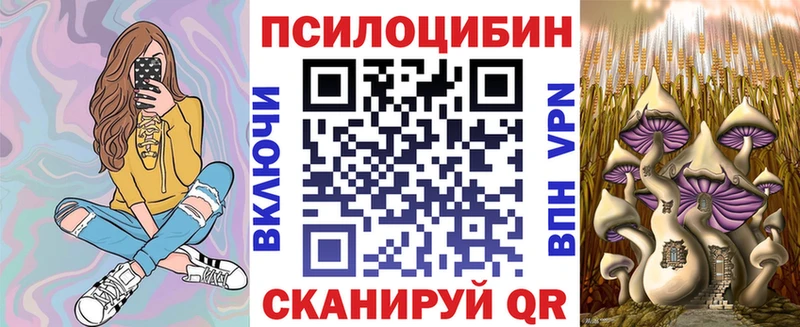 Галлюциногенные грибы Psilocybine cubensis  гидра ссылка  Миллерово  где купить наркотик 